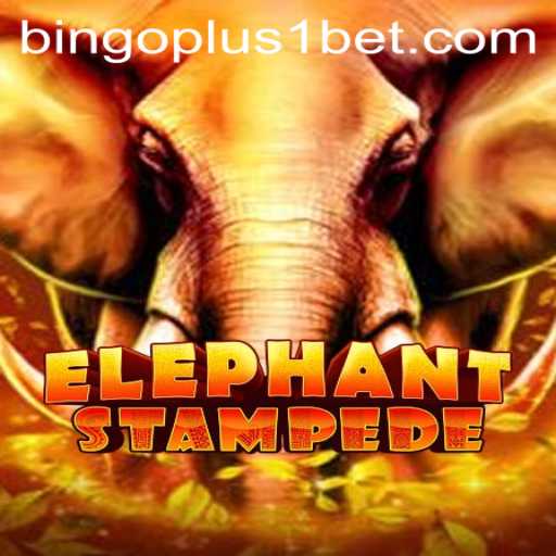 Exploring ElephantStampede: An Immersive Adventure with Bingoplus1 Feature