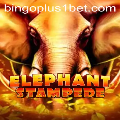 Exploring ElephantStampede: An Immersive Adventure with Bingoplus1 Feature